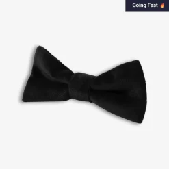 New Appaman Bow Tie BlackVelvet