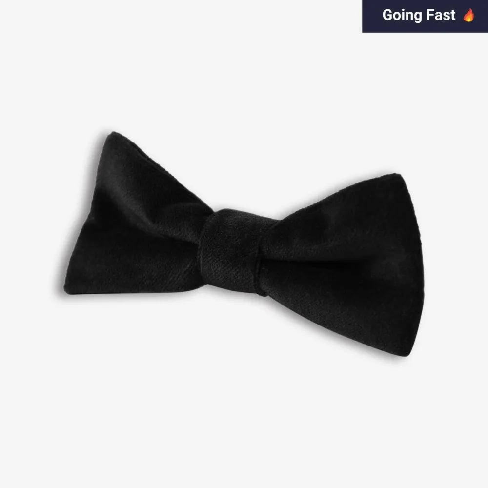 New Appaman Bow Tie BlackVelvet