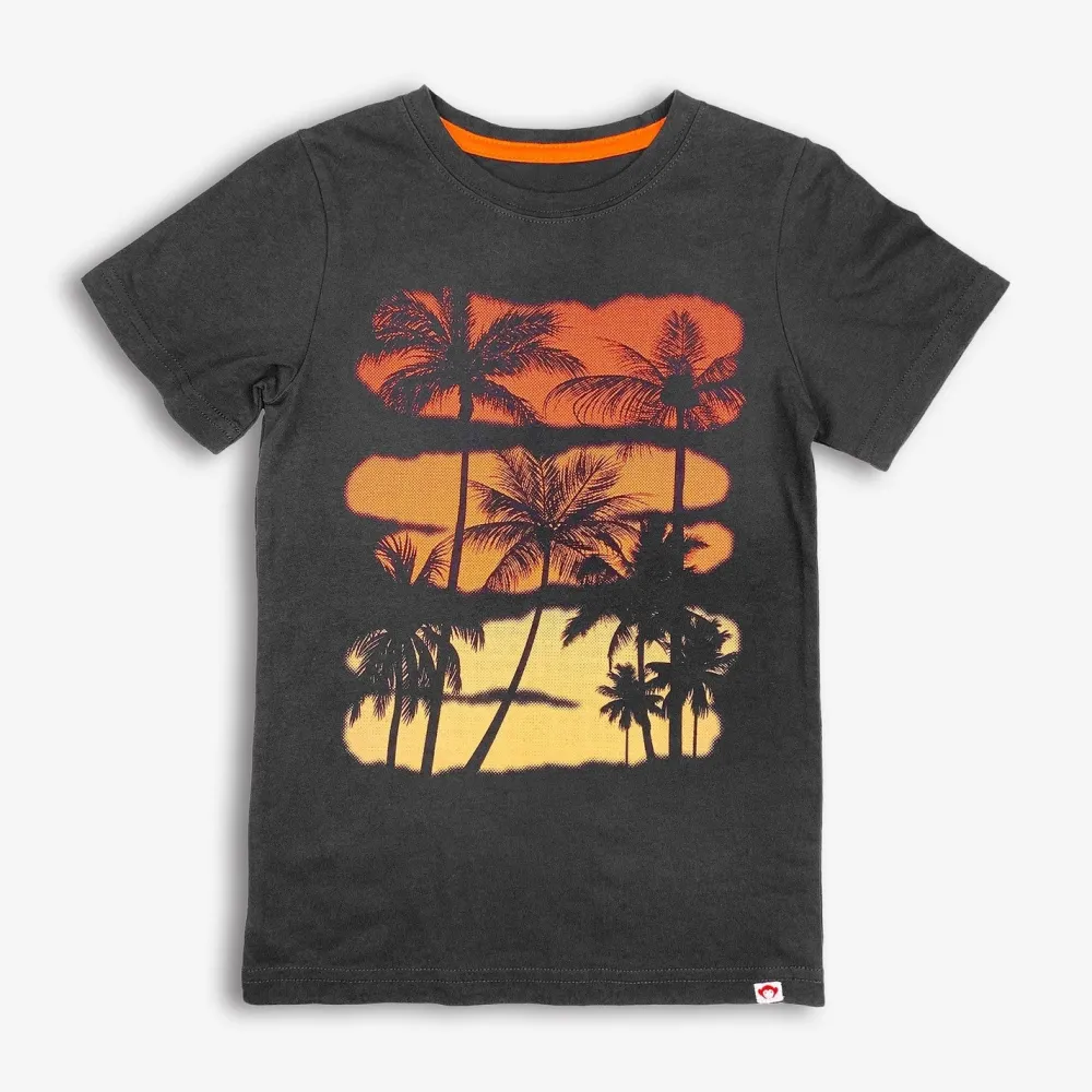 Best Appaman Graphic Tee Palms